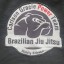 Carlson Gracie Power team