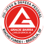 Gracie Barra Riacho Fundo I